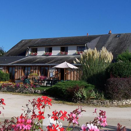 Logis Hotel Restaurant Le Vieux Fusil Soings-en-Sologne Exterior foto